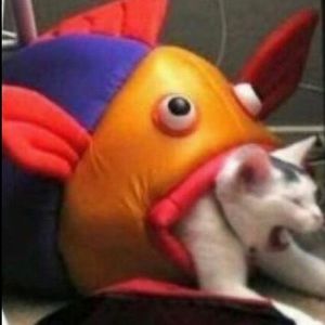 Meet your Posher, Joshua